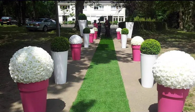 L’allée du Castel Marie-Louise : pots fuchsia et blancs, boules de roses et de buis, tapis de gazon