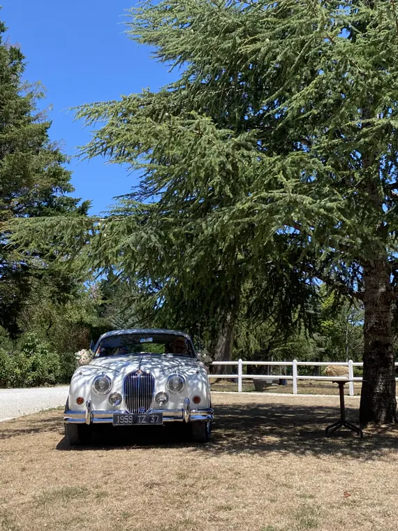 La Jaguar de 1959 des mariés, fleurie, à l’ombre du cèdre