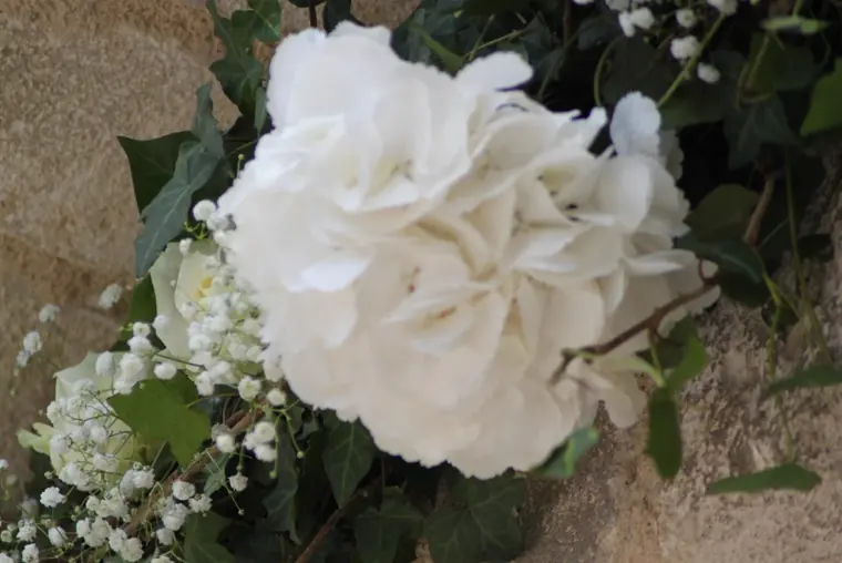 hortensias decoration église
