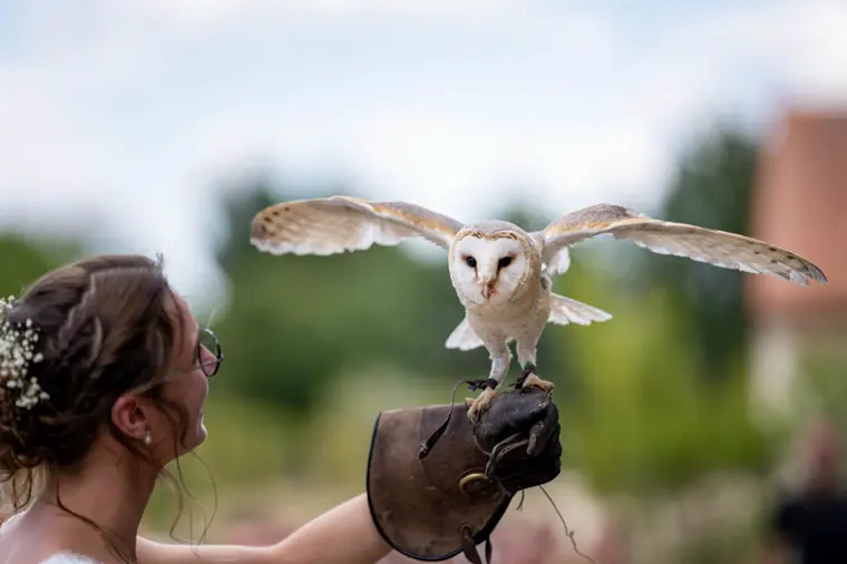 La mariée détache les alliances des serres de l’oiseau