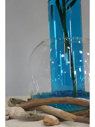 vase turquoise et bois flotte sous une cloche de verre